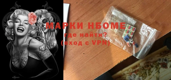 индика Михайлов