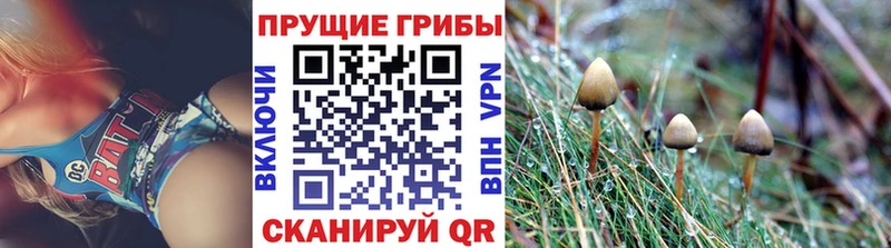 Галлюциногенные грибы мухоморы  Егорьевск 